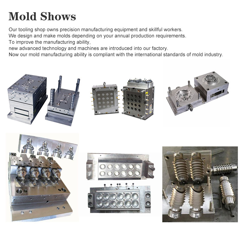Plastic Injection Mold