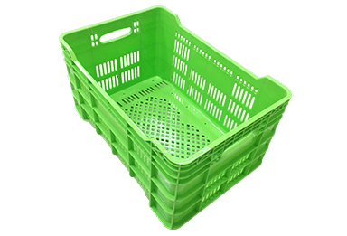 Recycle Case mold